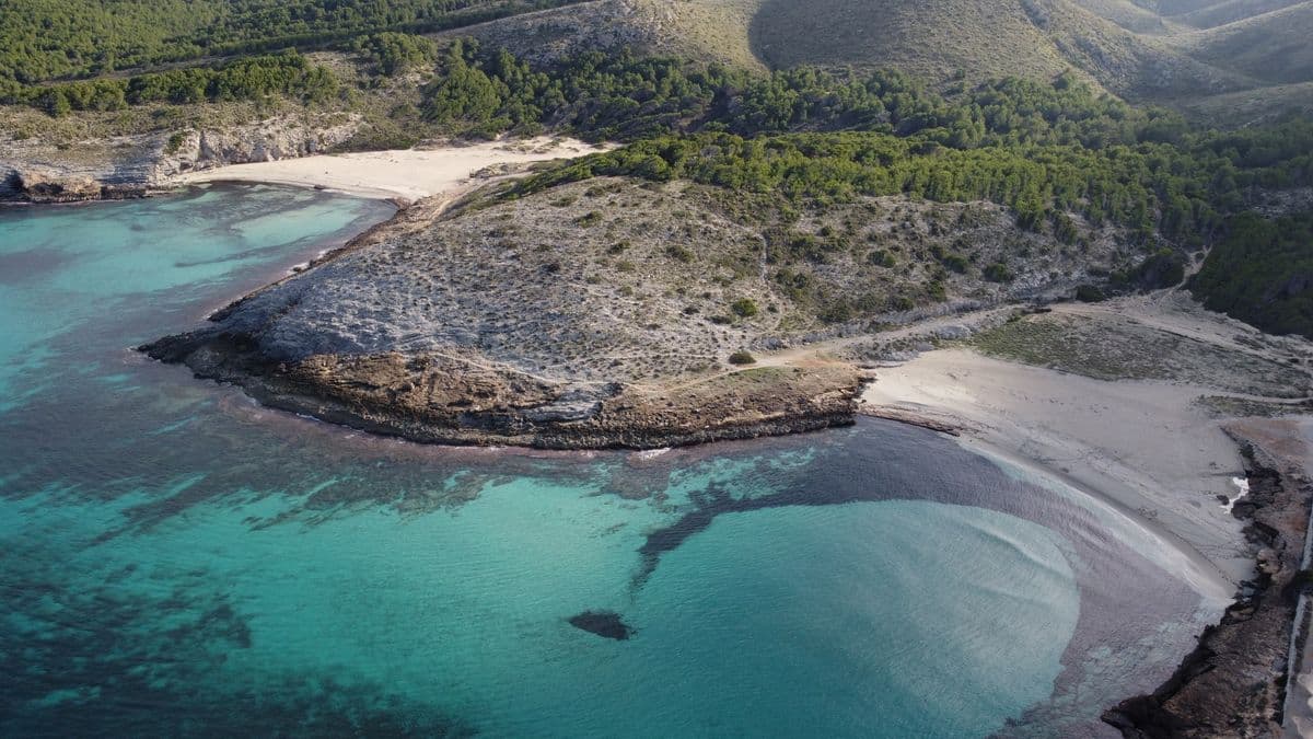 Cala Torta i Cala Mitjana (Artà)